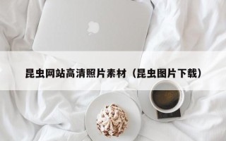 鸡西昆虫网站高清照片素材（昆虫图片下载）